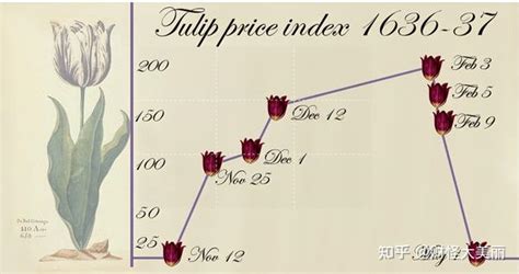 鬱金香多少錢一隻：解析其價格波動的多元視角
